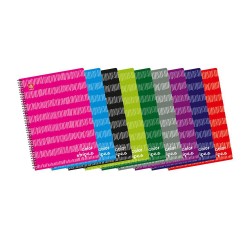 Typotrust Color Stripes Τετράδιο Σπιράλ A4 2 θεμάτων (4542-12) (TYP4542-12) Typotrust Color Stripes Τετράδιο Σπιράλ A4 2 θεμάτων (4542-12) (TYP4542-12)