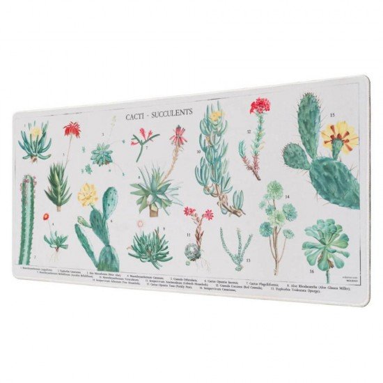 Grupo Erik Botanical Cacti Gaming Mouse Pad (ERIK62181)