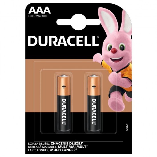 Duracell Basic MN2400 LR03 AAA Alkaline Battery (blister) - 2 pieces (DUR20367)