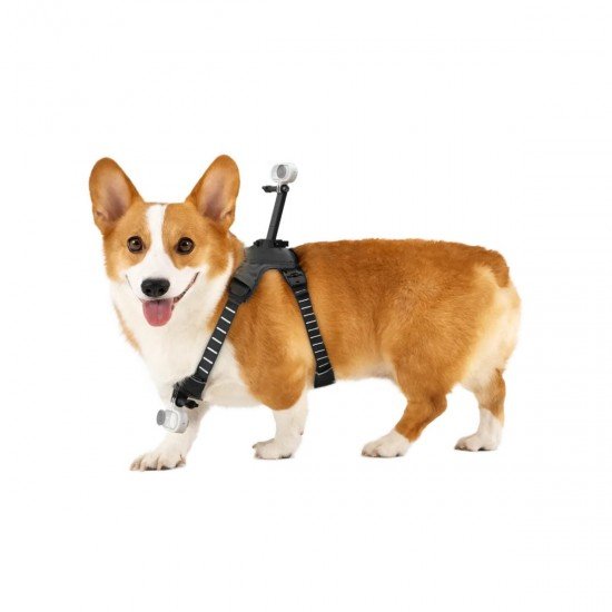 Insta360 Go 3/Go 3S Pet Harness Mount Size M Insta360 Go 3/Go 3S Pet Harness Mount Size M