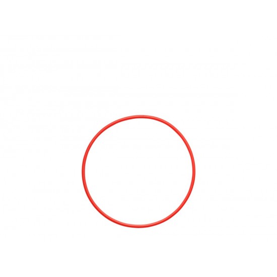 Olympus POL-058 O-ring for PT-058 / PT-059