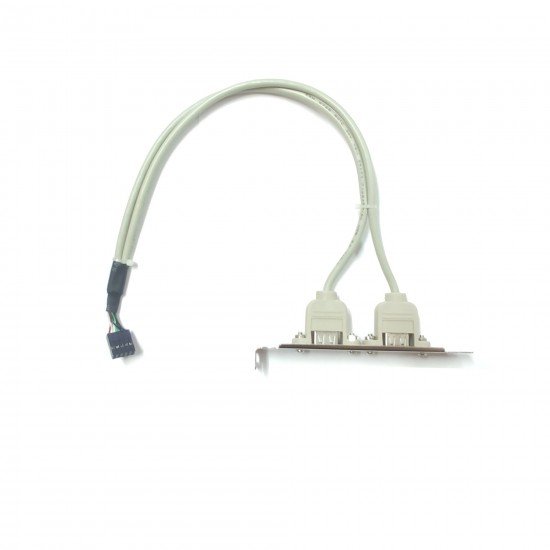 USB Port 2xAF to 2x5pin (5 pin+5 pin) 35cm