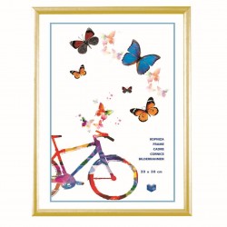 OEM Πλαστική Κορνίζα 20x30cm Χρυσή